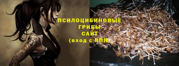 ешки Елизово